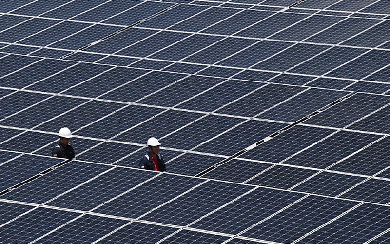 Focus on green energy would have created jobs, says think tank